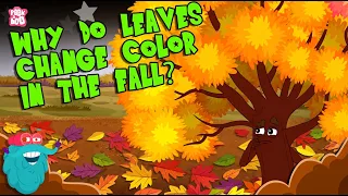 Why Do Leaves Change Colors in Fall? 🍂 The Science Behind Autumn | Fall Season | Dr. Binocs Show