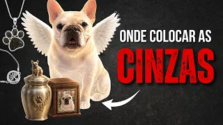 O QUE FAZER COM AS CINZAS DO SEU CACHORRO