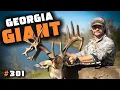 A 211 Georgia Buck How This Even Happened