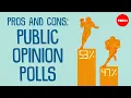 Pros and cons of public opinion polls - Jason Robert Jaffe