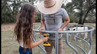 Tractor Supply Hay Ring Review and Assembly