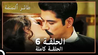 طائر النمنمة الحلقة 6 