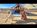 Download Lagu Een hartverwarmende terugkeer naar het nomadenleven voor de liefde ♥♥