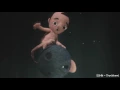 SOHN - The Wheel (MUSIC VIDEO)