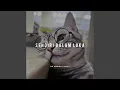 Download Lagu Sendiri Dalam Luka