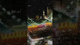 مولد  سيدى إبراهيم الدسوقى  فى دسوق      دندنها