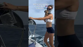 Sailing across the Caribbean Sea #sailingbyefelicia