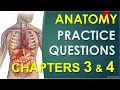 Chapters 3 4 practice questions