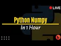 Complete Python Numpy Tutorial In 1 Hour OdinSchool