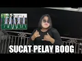Lagu DJ SUCAT PELAY BOOG VIRAL TIK TOK ! DJ LOKAL