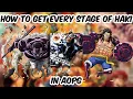 AOPG How To Get Every Stage Of Haki