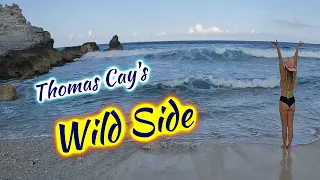 SDA84 Thomas Cay’s Wild Side
