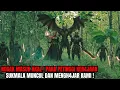 Download Lagu PERTARUNG4N D4RAH! TUMENGGUNG MUNCUL BALAS DEND4M ATAS KEM4TIAN ADIPATI @KangUjangBusthomicirebon