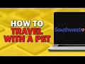 How To Travel With a Pet on Southwest Airlines Easiest Way