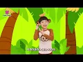 Monkey Banana Dance | Baby Monkey | Dance Along | Pinkfong Songs for Children