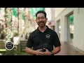 Living in North Phoenix - Why move to North Phoenix?