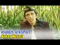 Download Lagu Harris Senopati - Sekar Melati (Official Music Video)