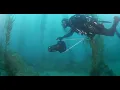 Southern California February 2019 - Paragon Dive Adventures