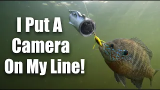 CanFish Fishing CamX Lure Camera See Our Results