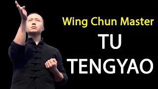 Download TU TENGYAO The Best - Wing Chun Master MP3