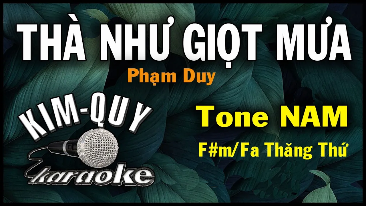 THÀ NHƯ GIỌT MƯA - KARAOKE - Tone NAM ( F#m/Fa Thăng Thứ )