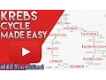 KREBS CYCLE MADE SIMPLE - TCA Cycle Carbohydrate Metabolism Made Easy