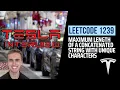 Tesla Interview Leetcode 1239 Maximum Length of a Concatenated String with Unique Characters