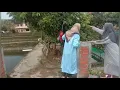 Download Lagu Kumbang Sayuk Di Musim | Wiwi Puspa Sari | Cipt. Nurdin Darsan