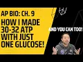 AP Biology Aerobic Cell Respiration Chapter 9 on Cambell Biology