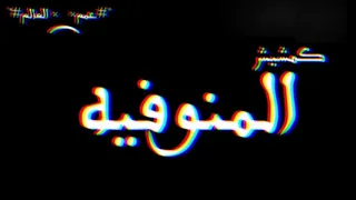 مهرجان المنوفيه للخيول 