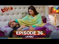 Download Lagu Laadli Episode 36 - 30 August 25 [Bilal Qureshi \u0026 Vaneeza \u0026 Asad Malik \u0026 Sukaina Khan] - HUM TV