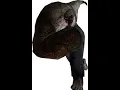 Hammer Tutorial Part 3 Spawning Zombies Via Trigger