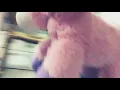 Download Lagu Piu piu iu meme que yo intente XD 😂