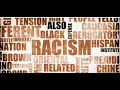 Wp black people can t be racist - Dr Claude Anderson