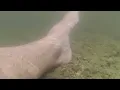 Kayaking Adventures - 8