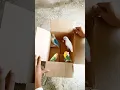 Download Lagu Love Birds New Unboxing| Viral 20 unboxing Love Birds | Online Parcel Delivery | Birds | Shorts