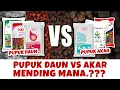 Download Lagu PUPUK TANAMAN PADI, JAGUNG, CABAI, TOMAT, MENTIMUN MENDING PAKAI PUPUK AKAR ATAU PUPUK DAUN.???