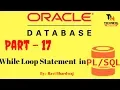 While Loop in