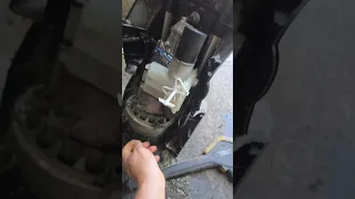                     دندنها