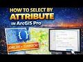 How to select by attribute in ArcGIS Pro