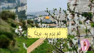 الشيخ عمير شميم سورة النساء 