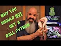 Why You Shouldn t Buy a Ball Python - this snake might not be right for you Watch before you buy