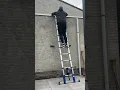 Download Lagu When you aim high, start with the right ladder :ladder: #Aldorr #diy #ladder