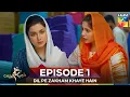 Download Lagu Dil Pe Zakham Khaye Hain Episode 1