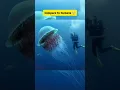 Download Lagu Beyond Belief: Animals That Are Bigger Than You Think 😨 #animals #amazingfacts #fish #nature
