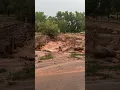 Flooding in Virgin Utah
