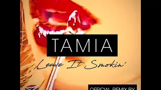 tamia terry hunter leave it smokin terry hunter club mix ts box