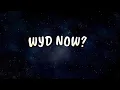 Download Lagu Sadie Jean - WYD Now? X Main Rang Sharbaton Ka (Mashup Tiktok Version)| Lyrics Terjemahan