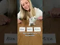 Baby chicks choose their perfect names