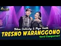 Download Lagu Niken Salindry \u0026 Arya Galih - Tresno Waranggono (Audio)